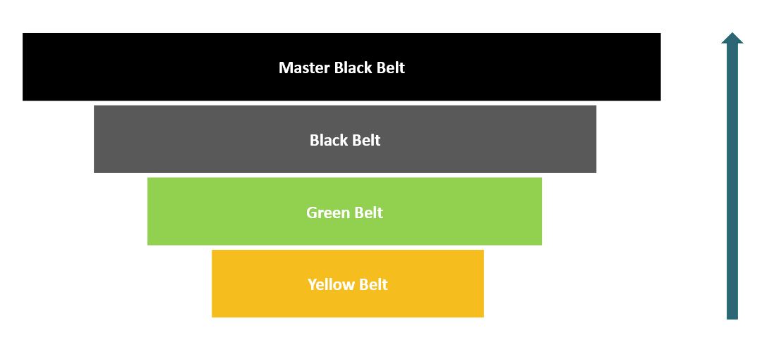 Belt Levels Graphic